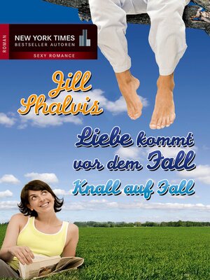 cover image of Knall auf Fall